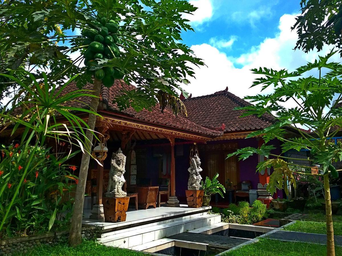 Rona Accommodation Ubud Kültér fotó