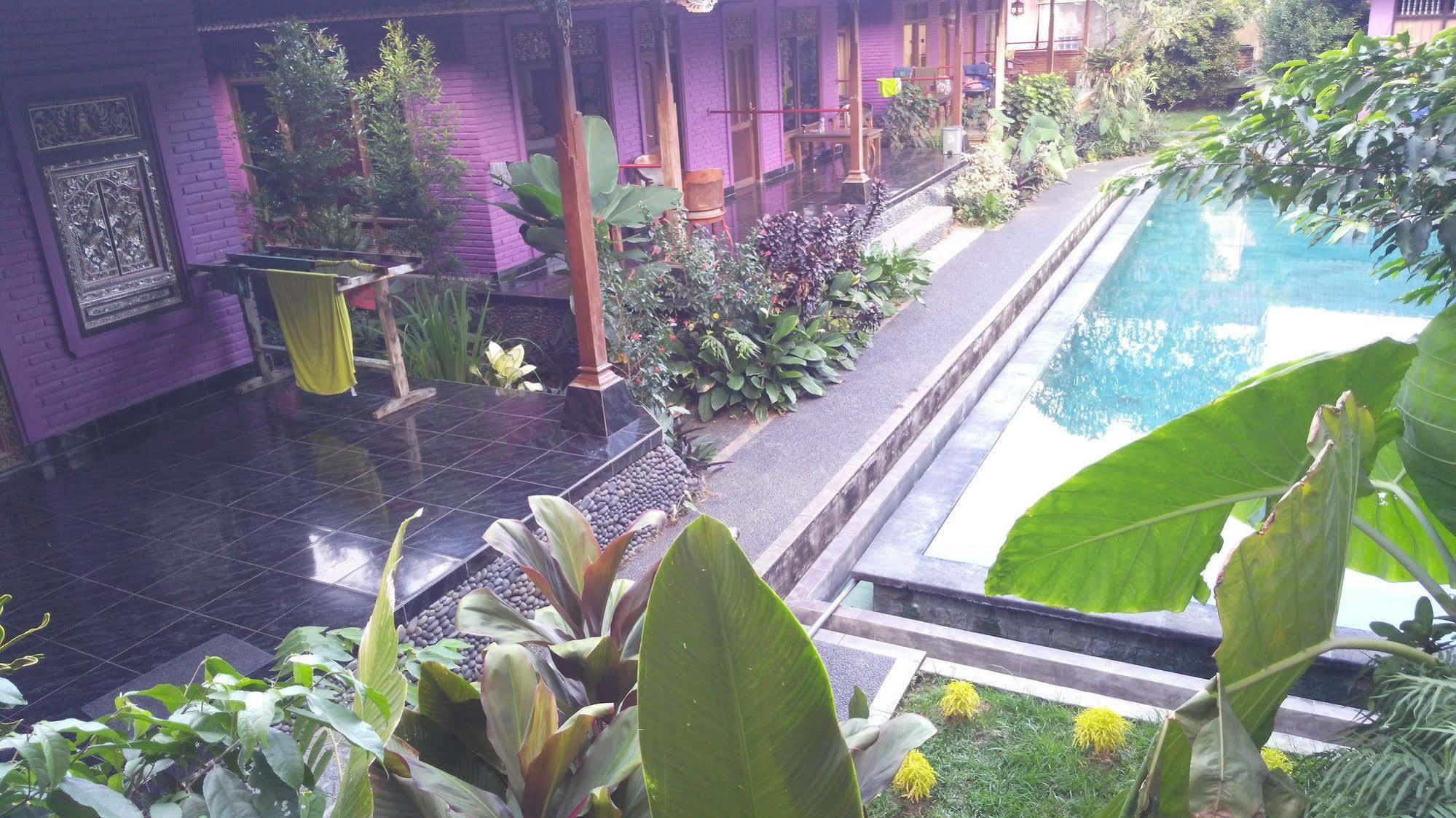 Rona Accommodation Ubud Kültér fotó